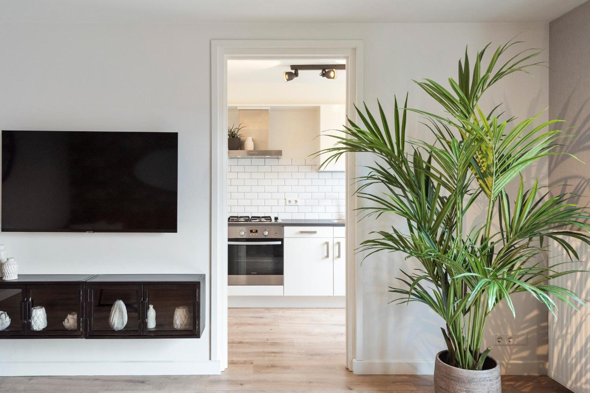 Beach&Dunes Apartment Zandvoort Bagian luar foto